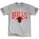 Mitchell & Ness NBA Chicago Bulls Team Arch Traditional Tee  GREY