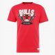 MITCHELL & NESS CHICAGO BULLS TEAM DNA TEE RED