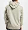 CHAMPION HOODED SWEATSHIRT NOGM