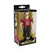 FUNKO VINYL GOLD 5'' INCH NFL : BUCCANEERS - TOM BRADY CHANCE AT A CHASE MULTICOLOR