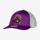 MITCHELL & NESS TORONTO RAPTORS OFF THE BACKBOARD TRUCKER HWC Purple / White