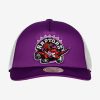 MITCHELL & NESS TORONTO RAPTORS OFF THE BACKBOARD TRUCKER HWC Purple / White