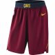 NBA X Nike Cleveland Cavaliers Nike Icon Edition Authentic TEAM RED/UNIVERSITY GOLD