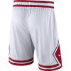 NBA X Nike Chicago Bulls Nike Association Edition Swingman WHITE/UNIVERSITY RED/BLACK