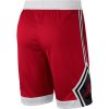 Jordan RISE DIAMOND SHORT GYM RED/WHITE/BLACK/GYM RED