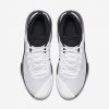 Nike LeBron Witness II Basketball Shoe WHITE/WHITE-BLACK-PURE PLATINUM