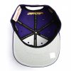 Mitchell & Ness Silicon Grass Snapback Los Angeles Lakers PURPLE