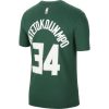 NBA X NIKE GIANNIS ANTETOKOUNMPO MILWAUKEE BUCKS DRI-FIT TEE FIR/ANTETOKOUNMPO G