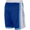 NIKE X NBA LOS ANGELES LAKERS SWINGMAN SHORT HWC 20 RUSH BLUE