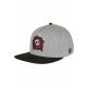 CAYLER & SONS C&S CL DEATH ROSE CAP HEATHER GREY/MC