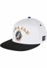 CAYLER & SONS PRAISE THE CHRONIC CAP WHITE/MC