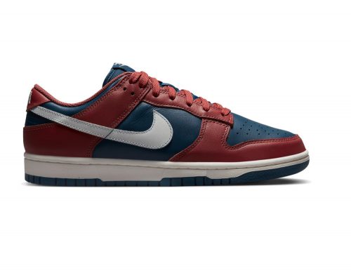 Nike Dunk Low Retro Canyon Rust/Summit White-Valerian Blue 365