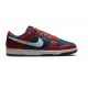 Nike Dunk Low Retro Canyon Rust/Summit White-Valerian Blue 365