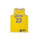 NBA X NIKE KIDS LOS ANGELES LAKERS LEBRON JAMES SWINGMAN JERSEY YELLOW