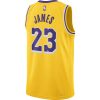 NIKE NBA LOS ANGELES LAKERS LEBRON JAMES BOYS ICON SWINGMAN JERSEY AMARILLO L