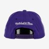 MITCHELL & NESS NBA LOS ANGELES LAKERS TEAM GROUND 2.0 STRETCH SNAPBACK PURPLE