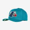 MITCHELL & NESS NBA CHARLOTTE HORNETS TEAM GROUND 2.0 STRETCH SNAPBACK HWC TEAL