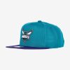 MITCHELL & NESS NBA CHARLOTTE HORNETS TEAM 2 TONE 2.0 SNAPBACK TEAL / PURPLE