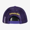 MITCHELL & NESS LOS ANGELES LAKERS BILLBOARD TRUCKER SNAPBACK Purple