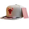 MITCHELL & NESS NBA CHICAGO BULLS MUNCH TIME SNAPBACK HWC GREY