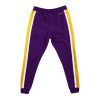 MITCHELL & NESS NBA FINAL SECONDS LOS ANGELES LAKERS PANTS PURPLE