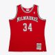 Mitchell & Ness NBA Dark Alternate Jersey Bucks 2014 Giannis Anteokounmpo Red M