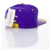 Mitchell & Ness Los Angeles Lakers Stop On A Dime Snapback PURPLE