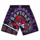 Mitchell & Ness shorts Toronto Raptors Jumbotron 2.0 Submimated BLACK/PURPLE