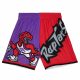 MITCHELL & NESS TORONTO RAPTORS Mens Shorts Purple