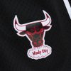 MITCHELL & NESS NBA DESTINATION LEISURE GAMEDAY SHORTS Chicago Bulls Black XXL