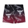 MITCHELL & NESS NBA DESTINATION LEISURE CAMP SHORTS Chicago Bulls Brown L