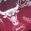 MITCHELL & NESS NBA DESTINATION LEISURE CAMP SHORTS Chicago Bulls Brown L