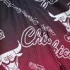 MITCHELL & NESS NBA DESTINATION LEISURE CAMP SHORTS Chicago Bulls Brown L