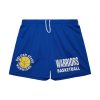 Mitchell & Ness NBA Gameday Mesh 7In Shorts Vintage Logo Golden State Warriors Royal XL