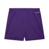 Mitchell & Ness NBA Gameday Mesh 7In Shorts Vintage Logo Los Angeles Lakers Purple L