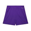 Mitchell & Ness NBA Gameday Mesh 7In Shorts Vintage Logo Toronto Raptors Purple M