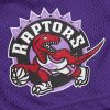 Mitchell & Ness NBA Gameday Mesh 7In Shorts Vintage Logo Toronto Raptors Purple