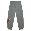 MITCHELL & NESS CHICAGO BULLS M&N CITY COLLECTION FLEECE PANT Grey Heather