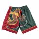 MITCHELL & NESS SEATTLE SUPER SONICS 95-96 BIG FACE SHORT GREEN