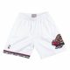 Mitchell & Ness shorts Vancouver Grizzlies 98-99 Swingman Shorts WHITE