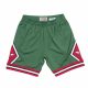 MITCHELL & NESS NBA GREEN WEEK SWINGMAN SHORTS BULL 08-09 DARK GREEN