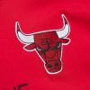 Mitchell & Ness NBA Premium Nickname Ss Tee Vintage Logo Chicago Bulls  Dennis Rodman Red