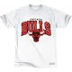 Mitchell & Ness NBA Chicago Bulls Team Arch Traditional Tee  WHITE