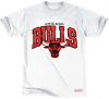 Mitchell & Ness NBA Chicago Bulls Team Arch Traditional Tee  WHITE