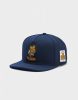 Cayler & Sons WL King Garfield Cap navy/mc