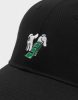 Cayler & Sons WL Make It Rain Curved Cap black/white