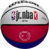 WILSON JR NBA DRV LIGHT FAM LOGO BSKT