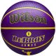 WILSON NBA PLAYER ICON OUTDOOR BSKT LEBRON